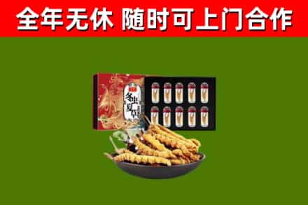 江达回收冬虫夏草价格